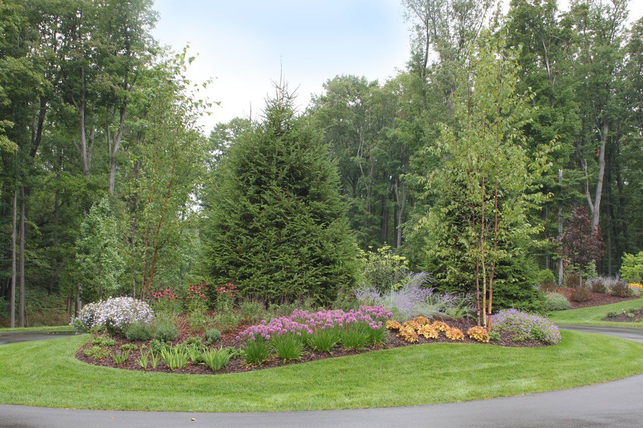 Landscaping services