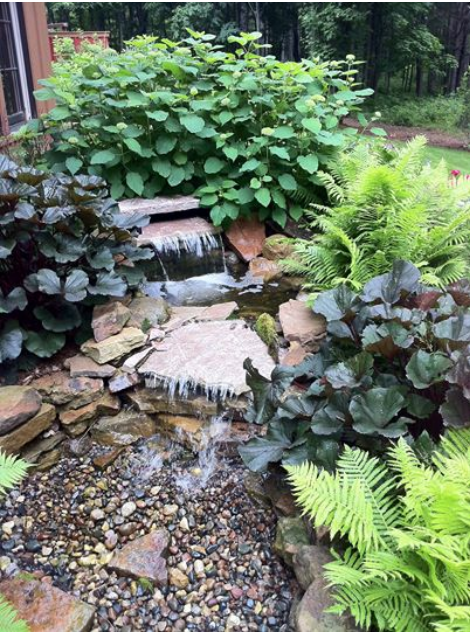 Landscaping services