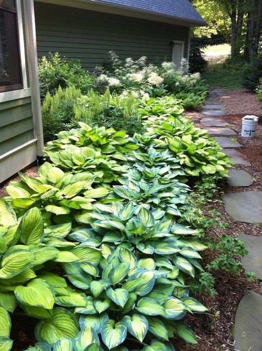 Landscaping services