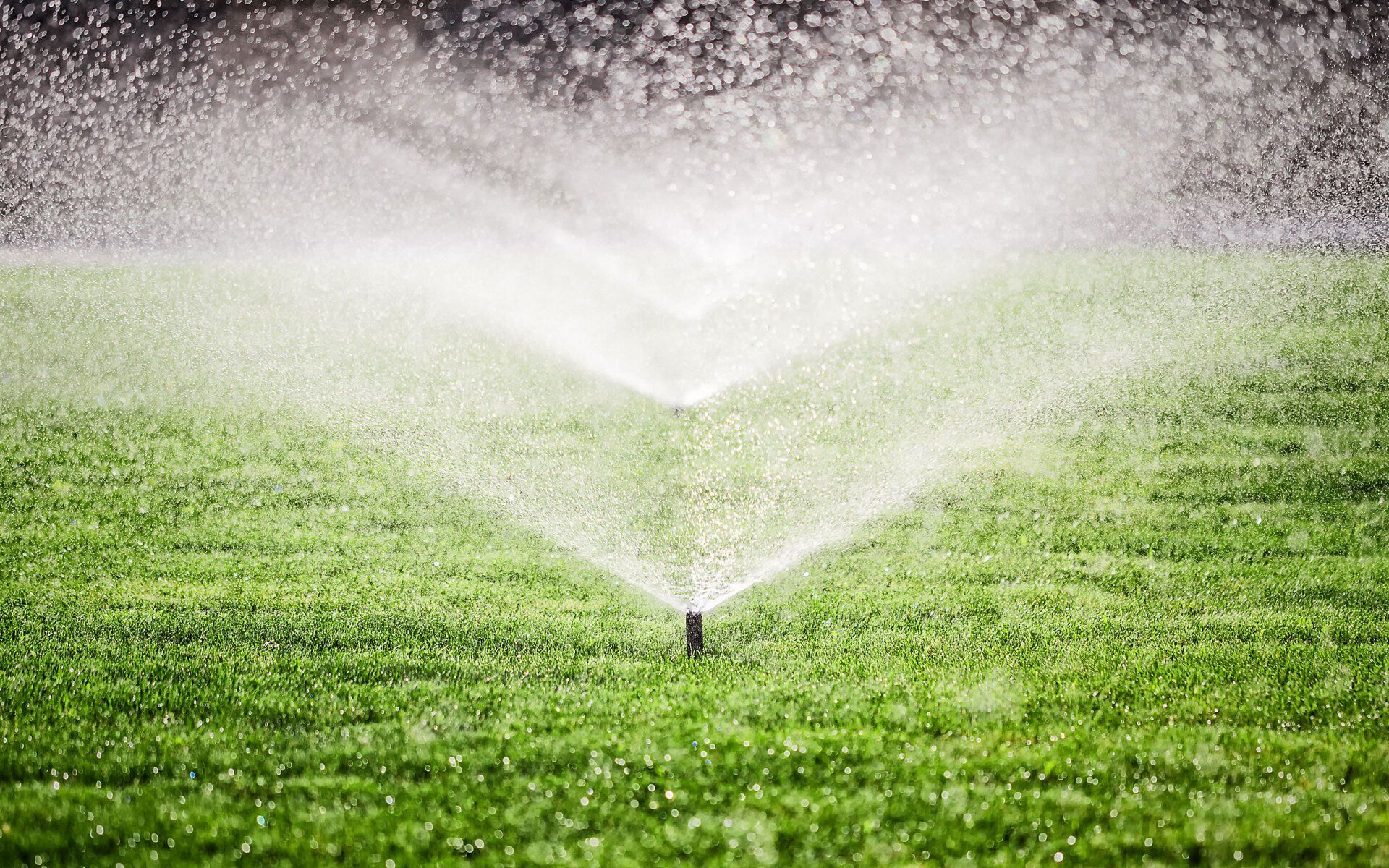 Irrigation work