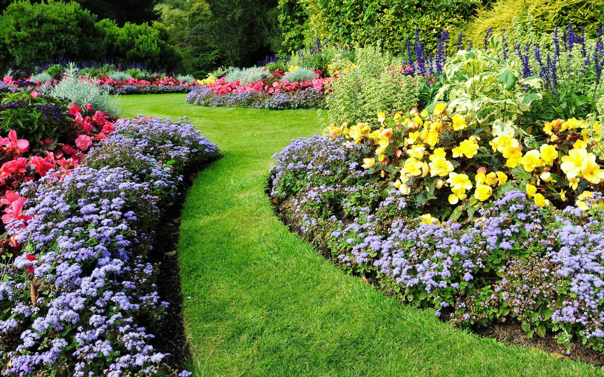 Landscaping professionals