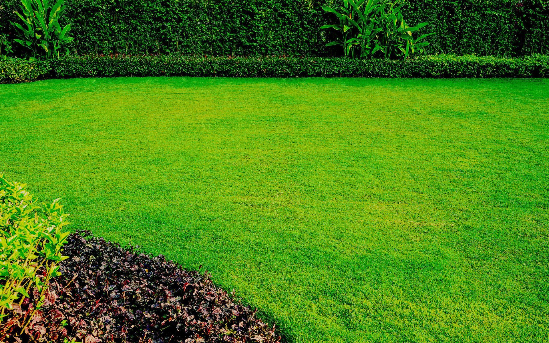 Lawn care