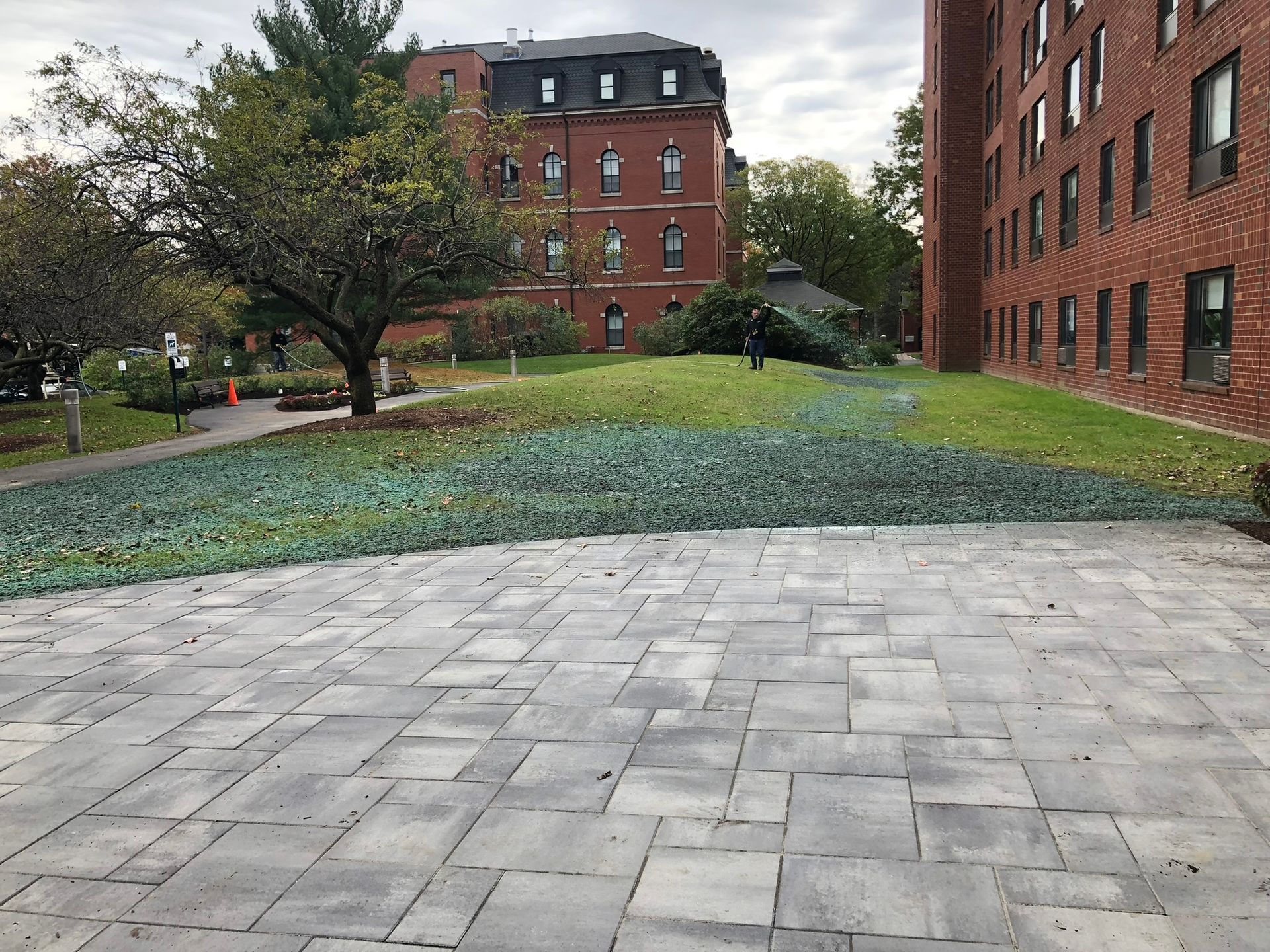 Commercial landscaping service