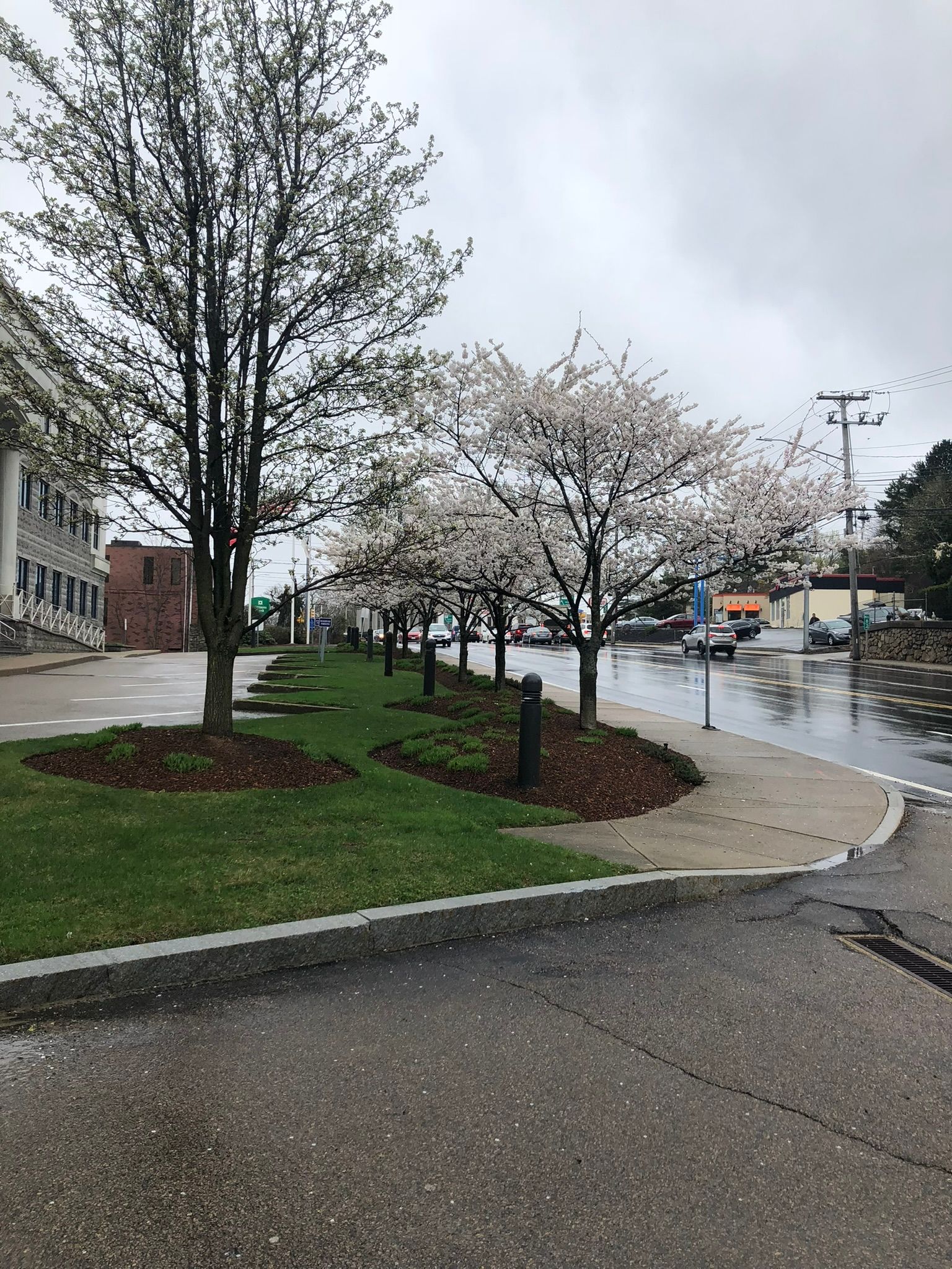 Commercial landscaping service