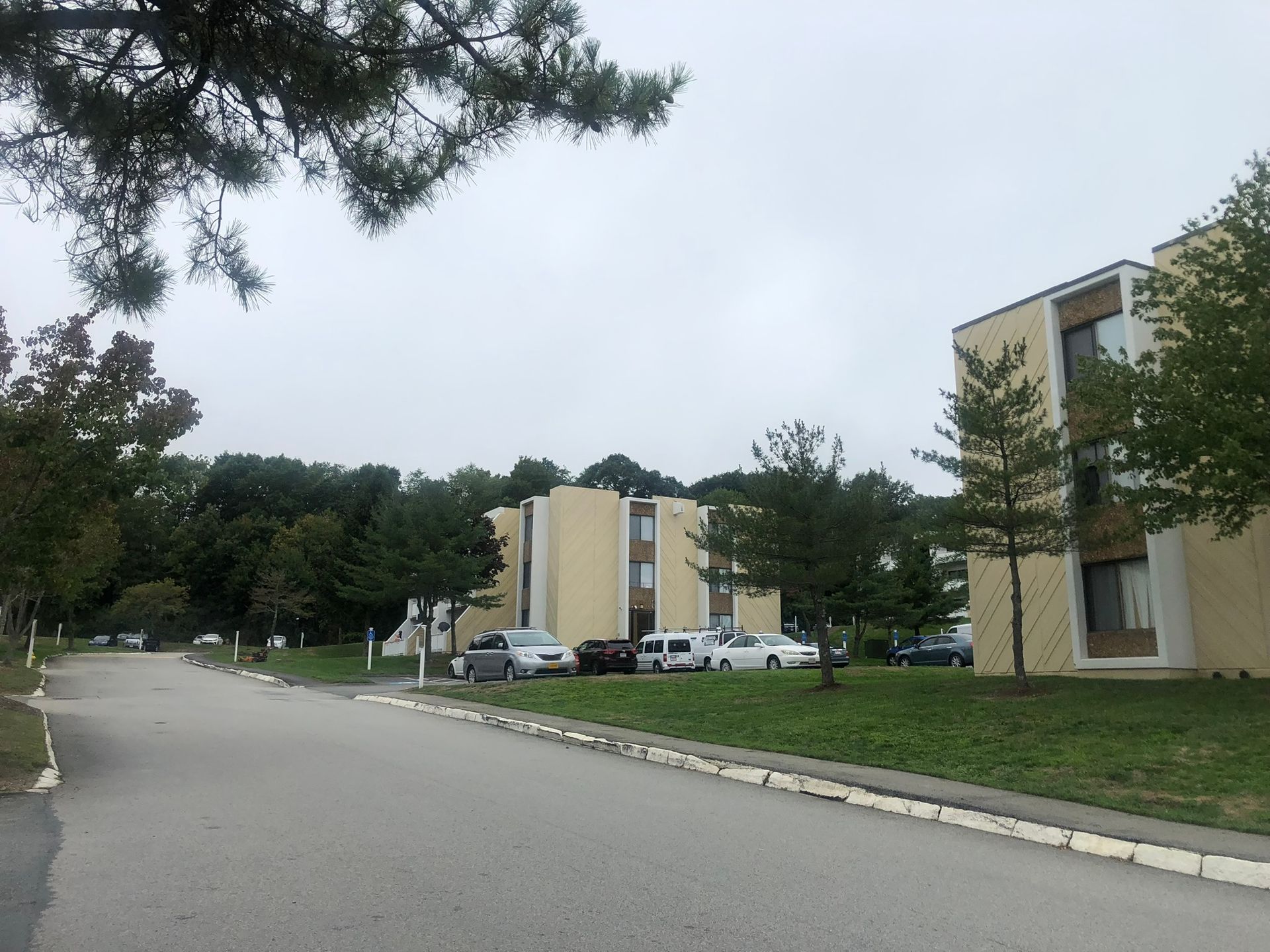 Commercial landscaping service