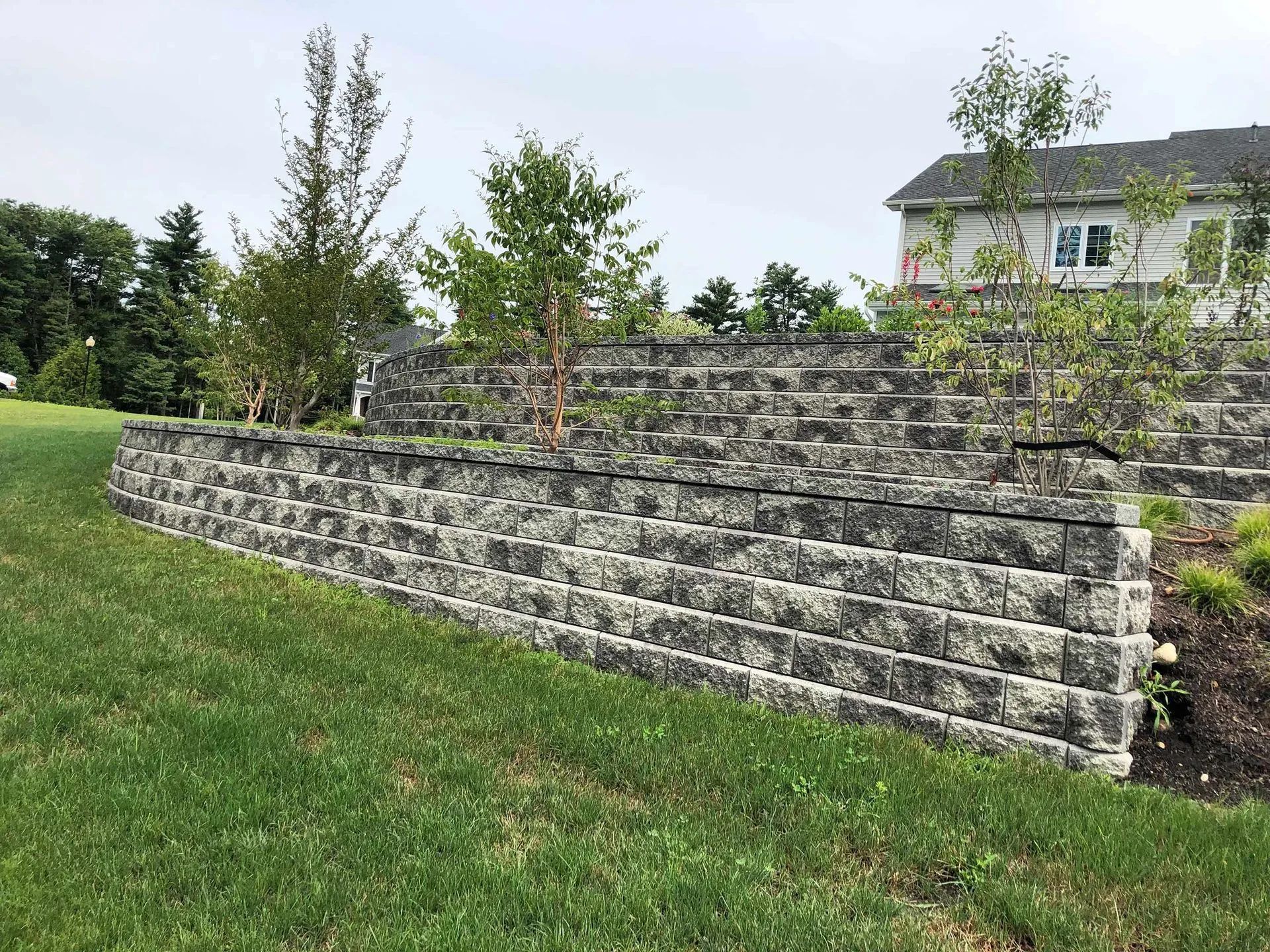 Residential tree care