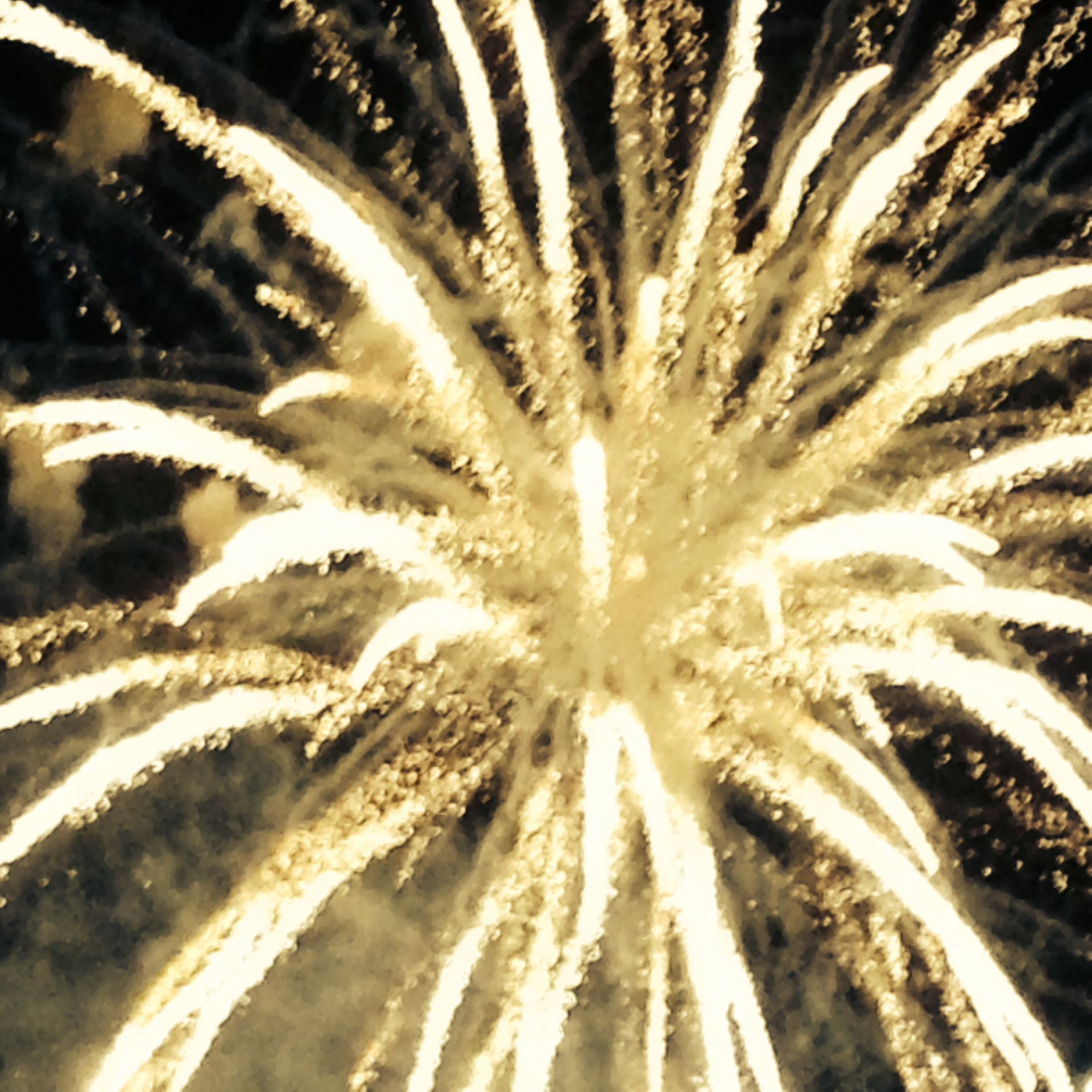 Old Key Lime House Gallery