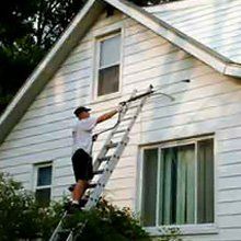 Siding Cleaning