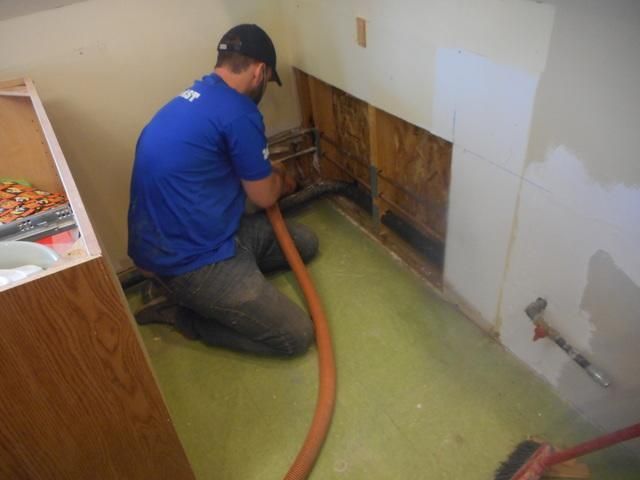 a man in a blue shirt is kneeling with a hose in his hand