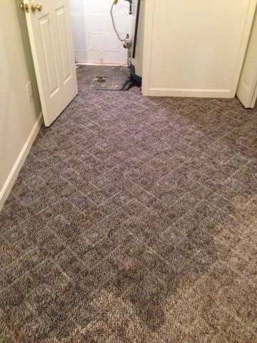 a room with a carpeted floor and a door leading to a bathroom