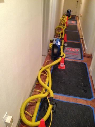 a hallway with a bunch of hose and cones on the floor