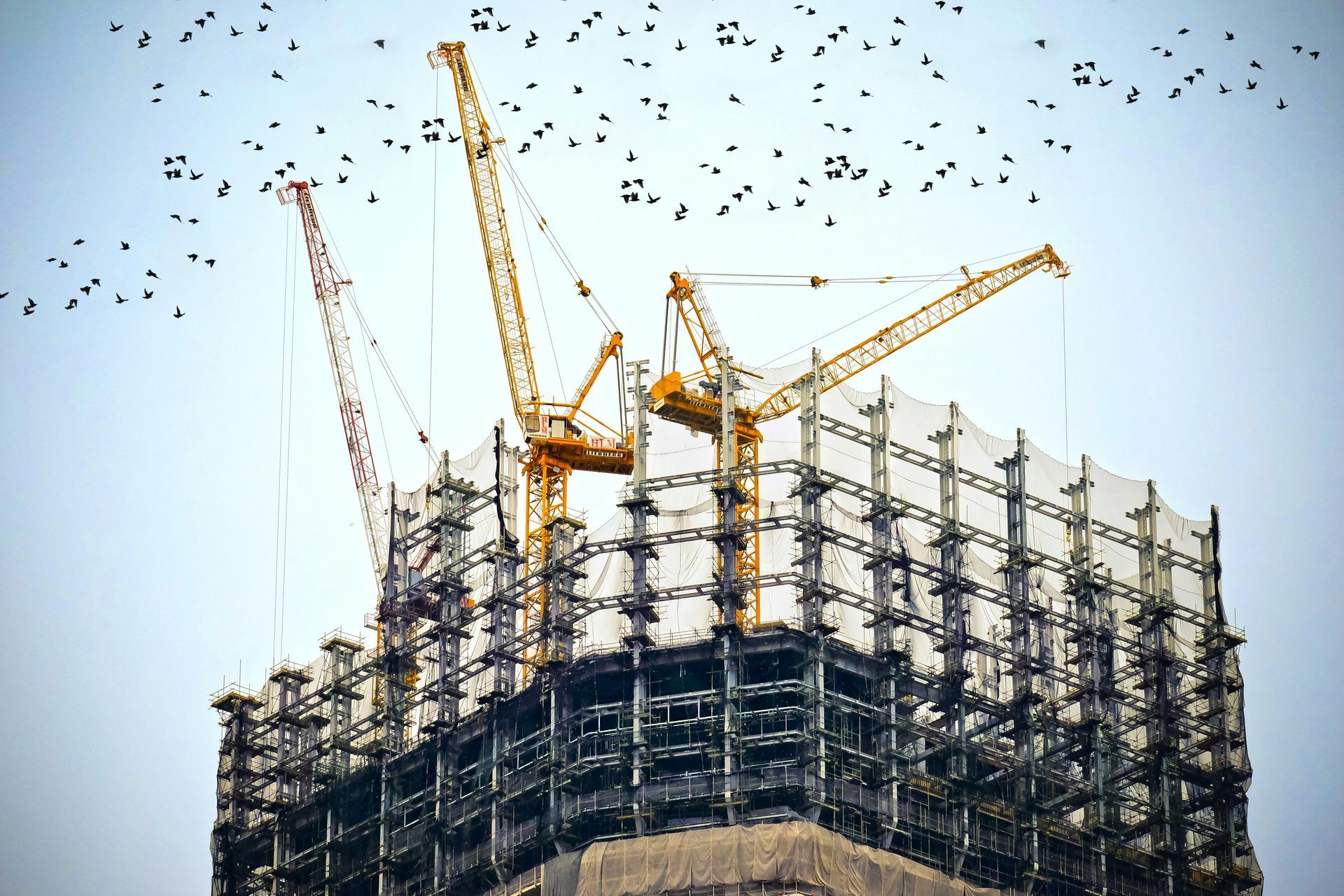 A flock of birds are flying over a building under construction.