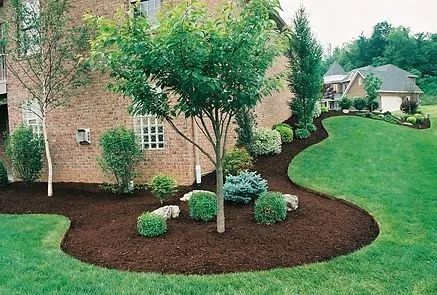 Landscaped front yard with a tree, shrubs, and curved mulch bed beside a brick house