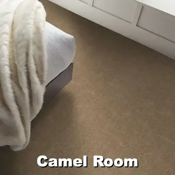 Beige carpet in a bedroom with a white bed and blanket, next to white furniture, labeled 