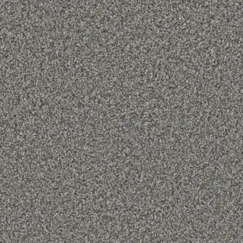 Gray speckled carpet texture.