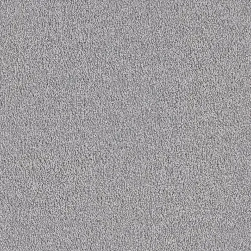 Gray carpet texture.
