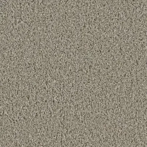 Tan, textured carpet.