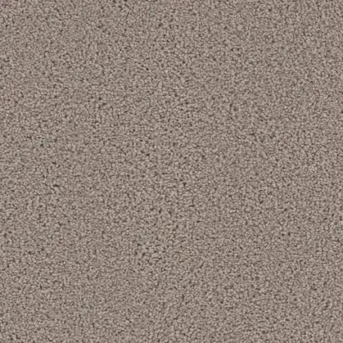 Close-up of a tan carpet, with a speckled, textured appearance.