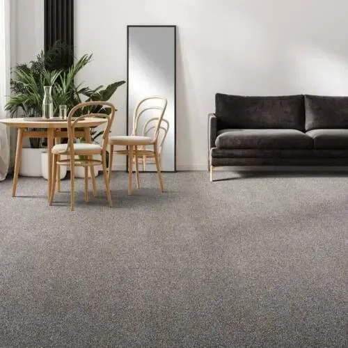 A living room with a gray carpet, a sofa, a dining table with chairs, and a tall mirror.