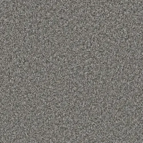 Gray speckled carpet texture.