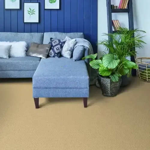 Living room with blue walls, gray couch, ottoman, and beige carpet. Plants and shelves add decor.