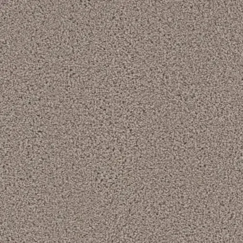 Close-up of a tan carpet, with a speckled, textured appearance.