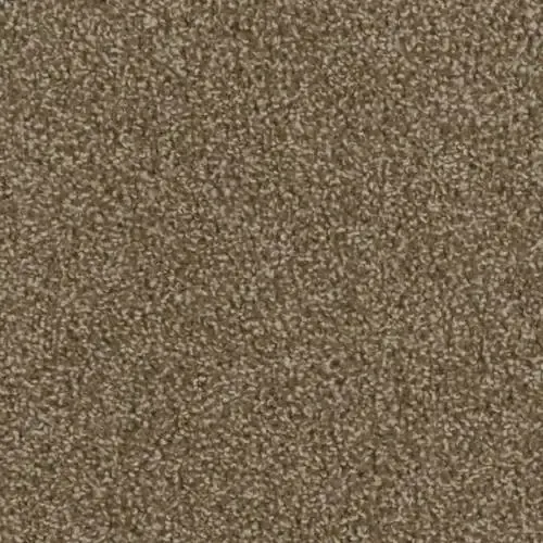 Beige and brown speckled carpet texture.