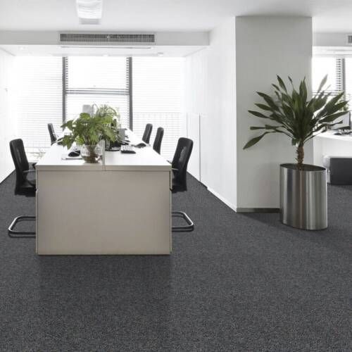 Office interior with a large white desk, black chairs, and a potted plant on dark carpet.