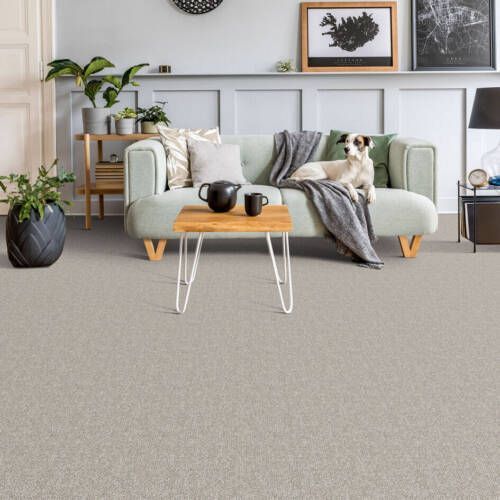 Living room with light-colored carpet, sofa, small table, dog, plants, and wall art.