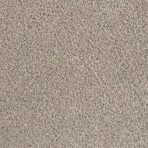 Close-up of a textured, light brown surface with a speckled appearance.
