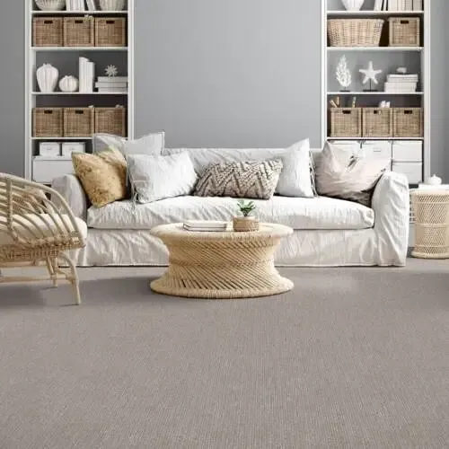 Living room with gray carpet, a white sofa, wicker accents, and built-in shelving.