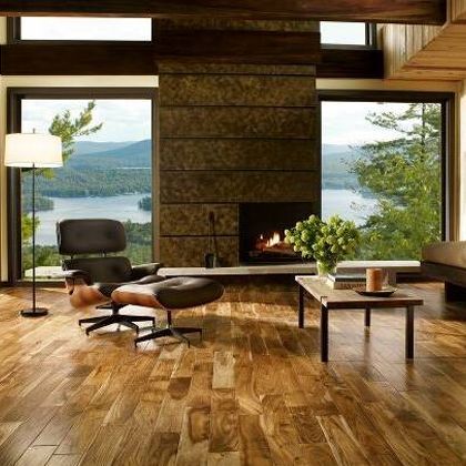 Cozy living room with fireplace, chair, lake view, and wooden floor.