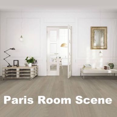 Paris Room Scene: A bright room with white walls, wood floors, and minimalist furniture. A doorway leads to another room.