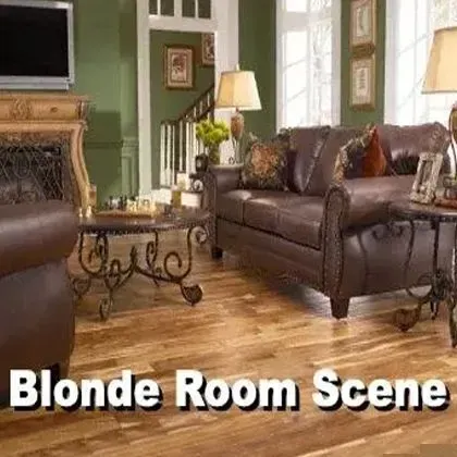 Blonde room scene. Living room with brown leather furniture, wooden floors, and a fireplace.