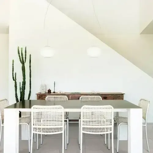 Dining room with white chairs, a long table, and a cactus against a white wall.