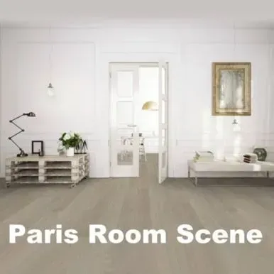 Paris Room Scene: A bright room with white walls, wood floors, and minimalist furniture. A doorway leads to another room.