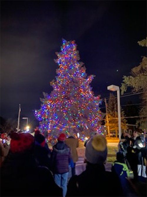 Tree Lighting