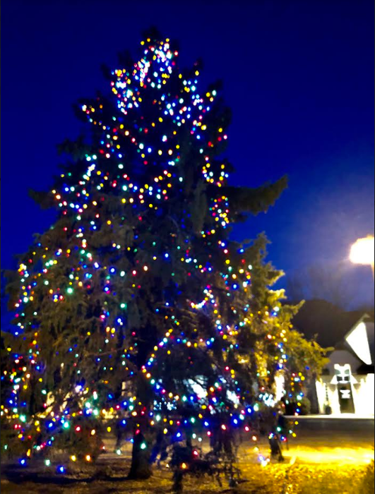 Tree Lighting Ceremony