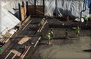 Field testing and observation services