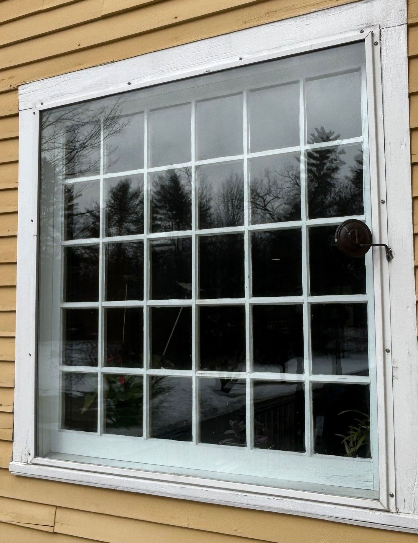 White-framed multi-pane window on tan siding with reflected trees outdoors