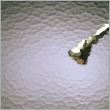 A small dog’s paw reaching into rippled gray water near the upper right corner.