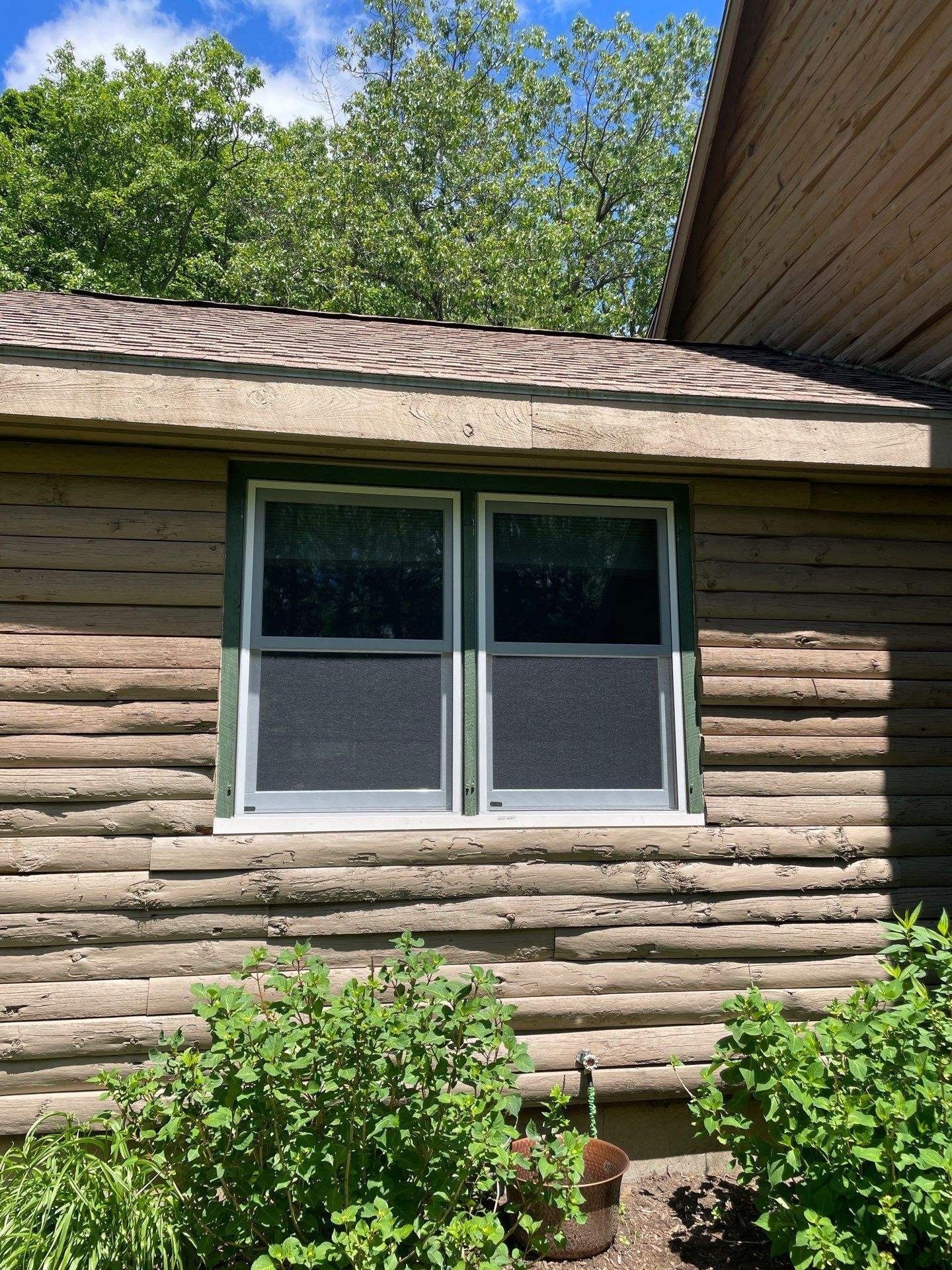 Log cabin exterior with two windows and green shrubs beneath a shingled roof under trees