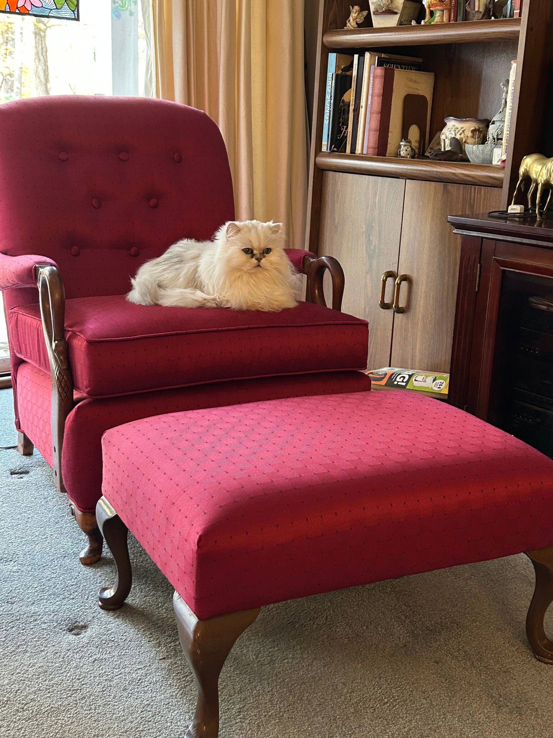 White fluffy cat lounging on a red armchair with matching ottoman in a cozy living room