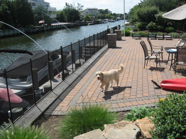 Dog walking on a sunny canal-side patio with tables and chairs