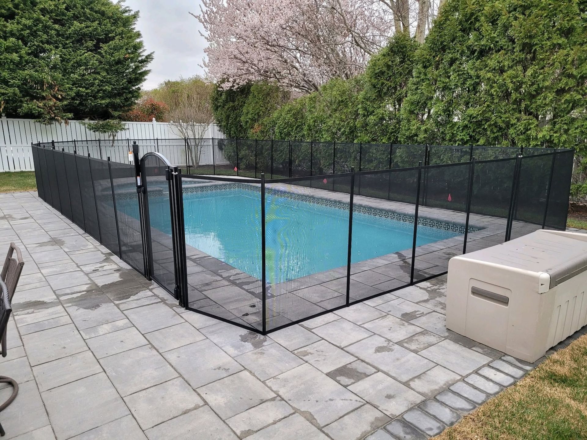 Backyard swimming pool enclosed by black safety fence, with patio pavers and hedge-lined perimeter