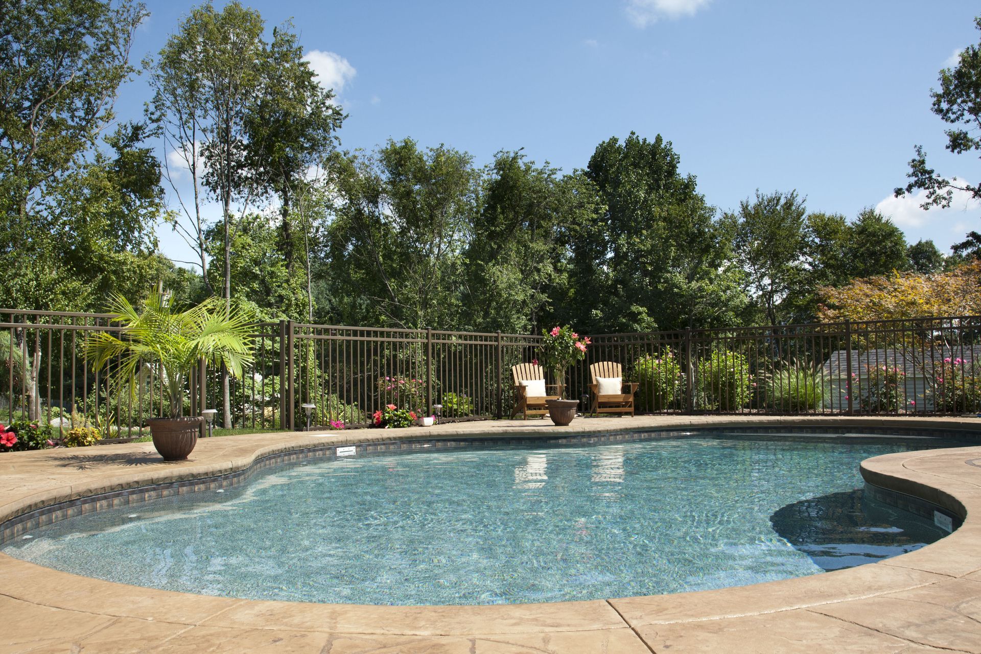 Backyard pool with curved stone deck, fence, lounge chairs, and trees in bright sunlight