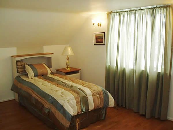 Small bedroom with a single bed, lamp, framed picture, and curtains over a window.