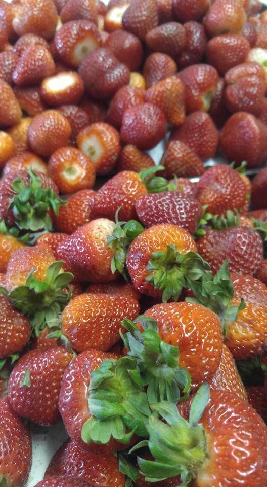 Pile of fresh strawberries, red with green leafy tops.