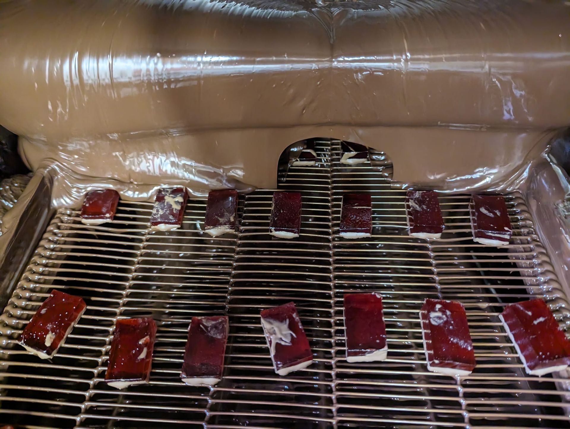 Rectangular food items, possibly gelatinous candy, on a metal rack beneath brown apparatus, likely a chocolate coating machine.