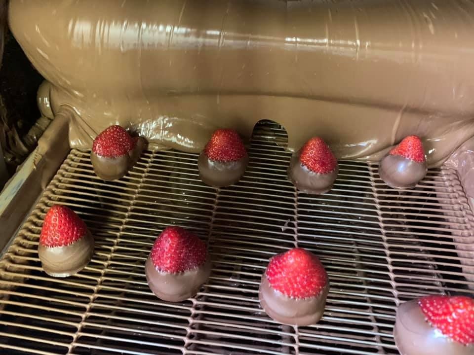 Chocolate-covered strawberries on a metal grate, with melted chocolate cascading above.